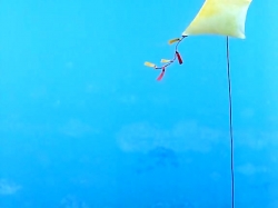 پینگو (فصل 4 - قسمت 9)